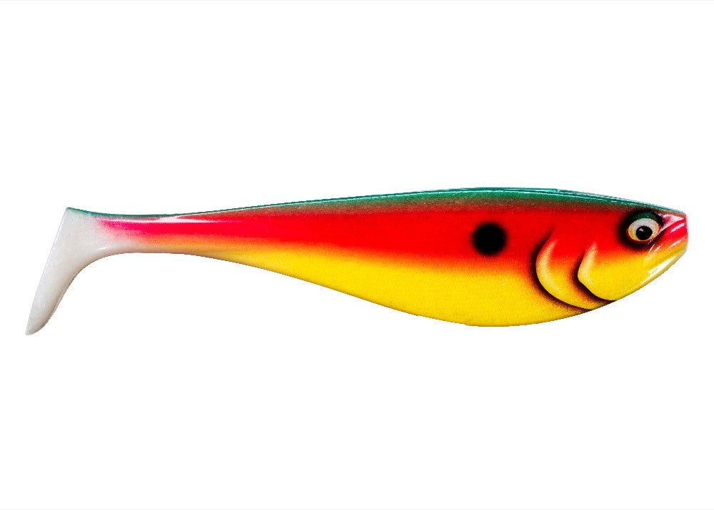 STORM V-SLAB VSL06 FROACH