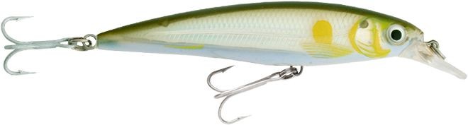 X-RAP SALTWATER SXR10  AYU