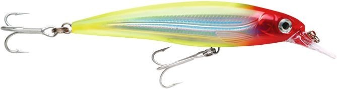 X-RAP SALTWATER SXR10  CLN